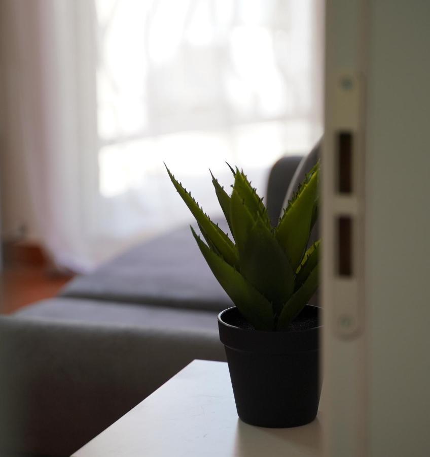 Stylish Apartment Near Tirana Center Ngoại thất bức ảnh